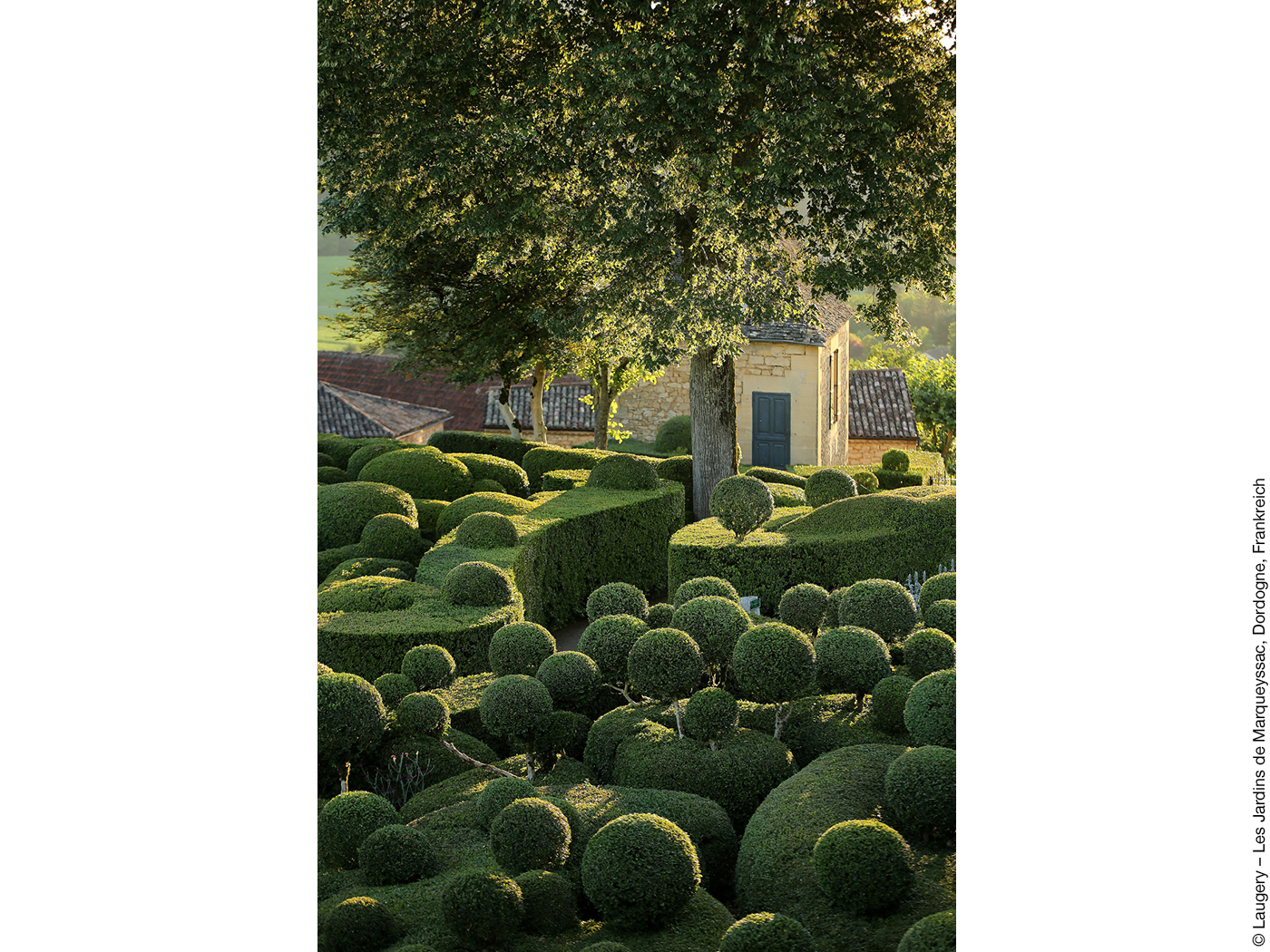 Garten mit Hecken und kugelförmigen Bäumchen