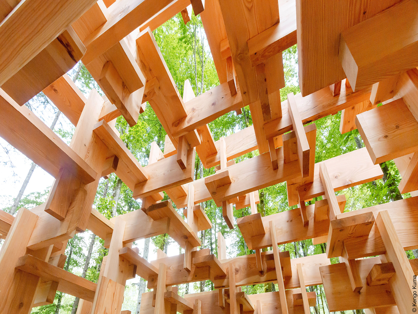 Lichtdurchfluteter Holzpavillon im Wald
