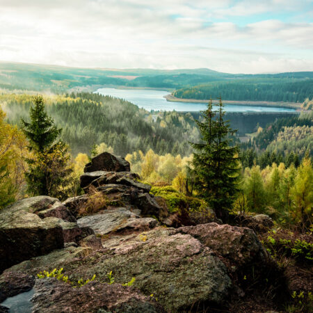 Gebirgige Waldlandschaft mit Fluss im Hintergrund