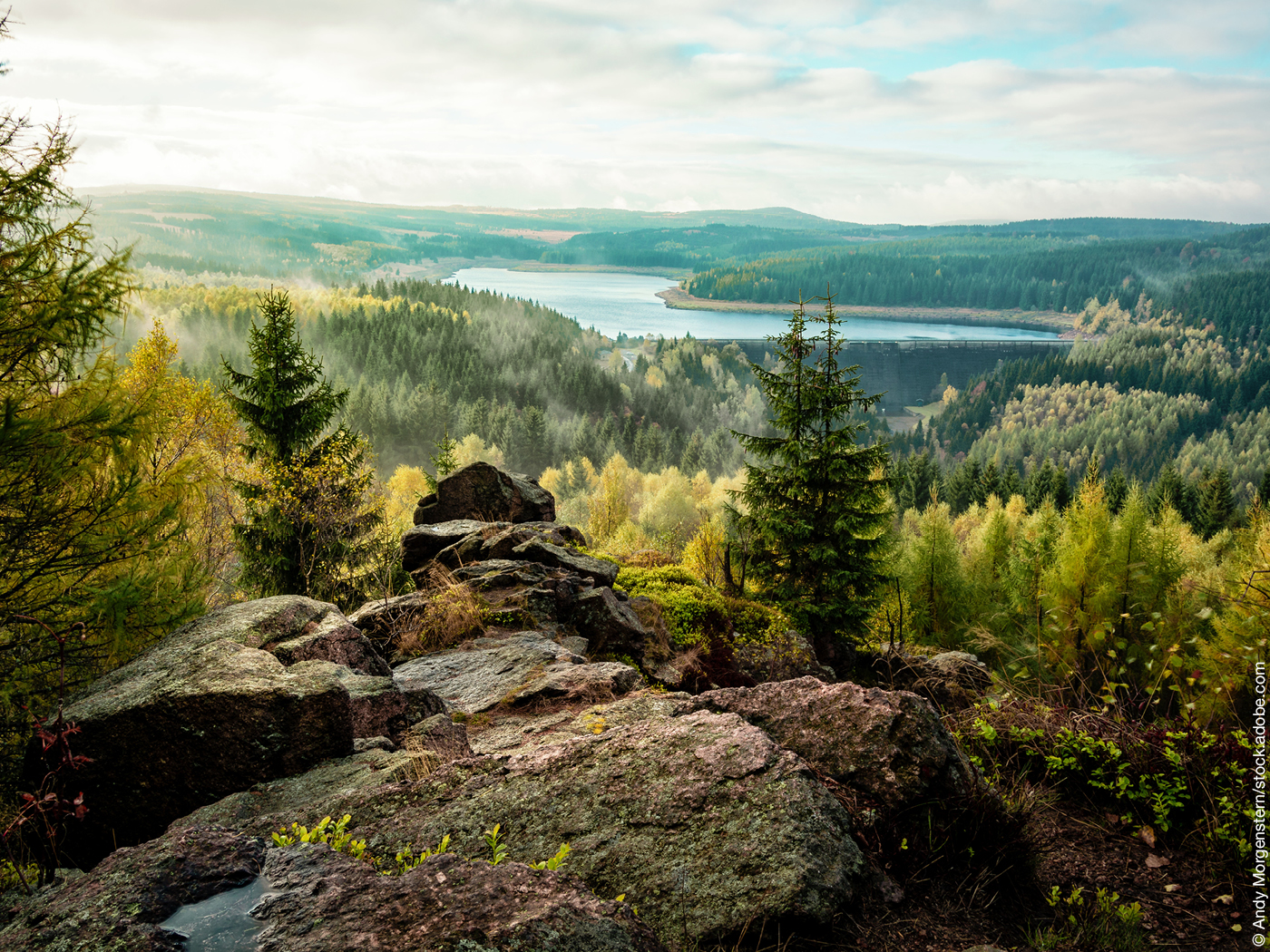 Gebirgige Waldlandschaft mit Fluss im Hintergrund