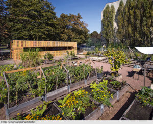 Kann sich sehen lassen: Die umgebaute Remise im Spreewald gehört zu den „normalen“ Projekten des Büros.