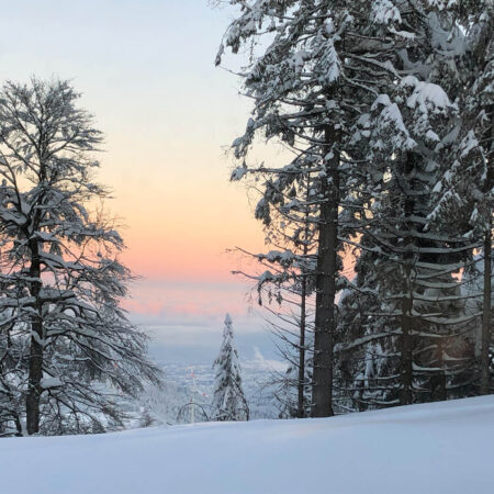 Schneelandschaft mit Sonnenaufgang