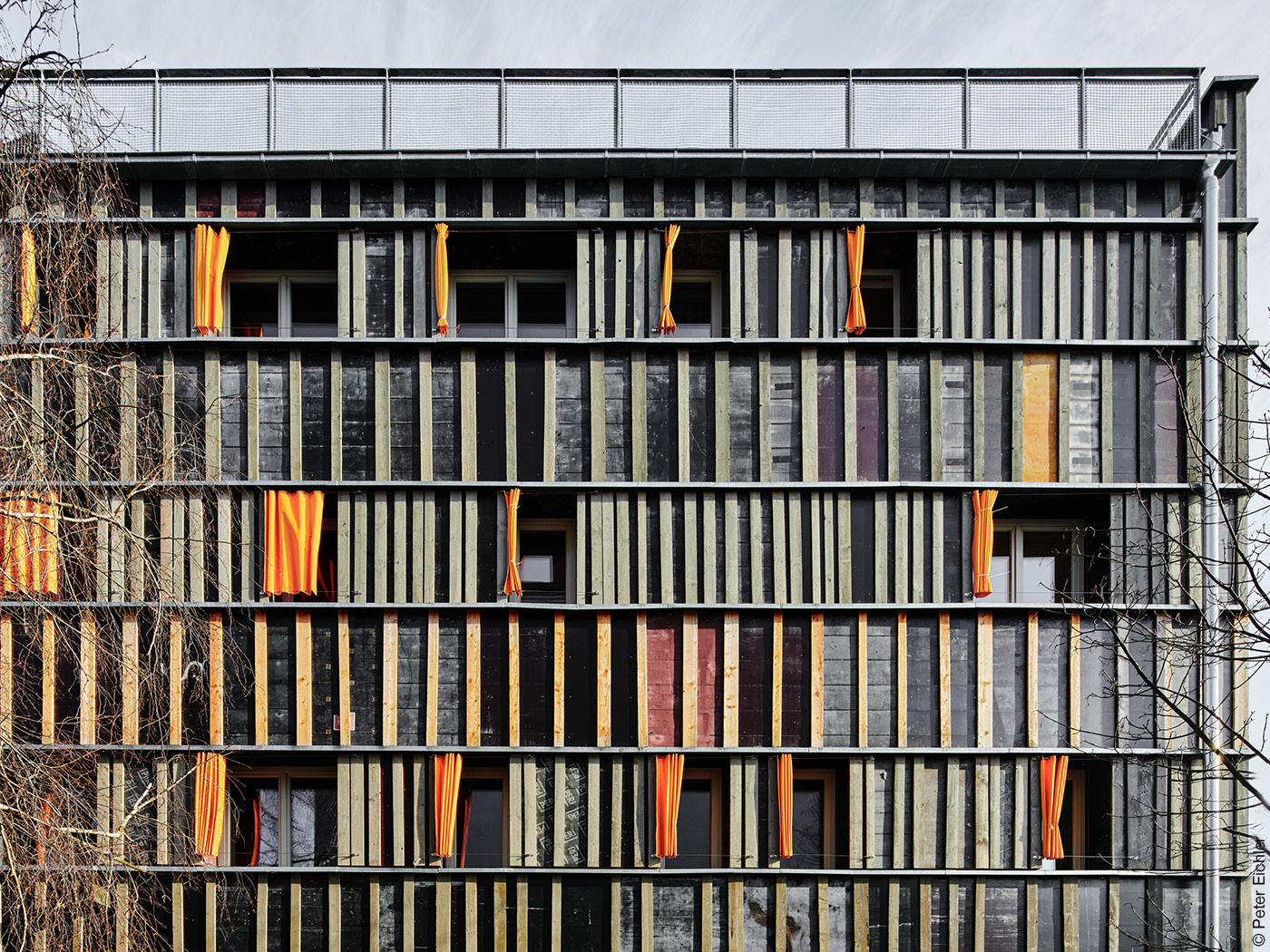 Haus mit Holzfassade und Vorhängen im leuchtenden Orange vor den Fenstern.