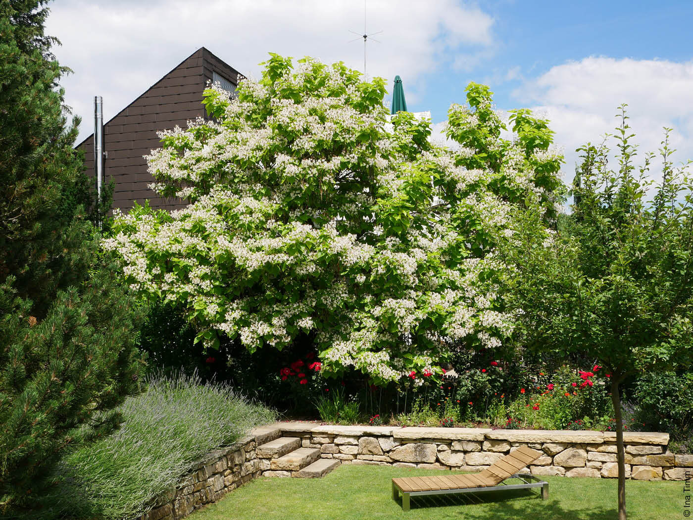 Garten mit Holzliege