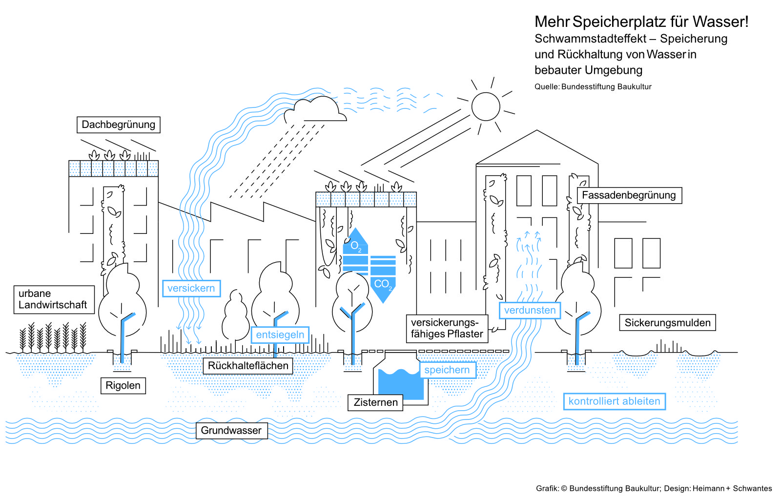 Grafik zum Schwammstadt Konzept mit Begrünung und Versickerungsflächen