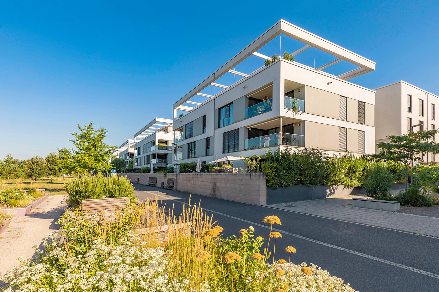 Passivhaus in Heidelberg an Fahrradstraße und Grünanlage